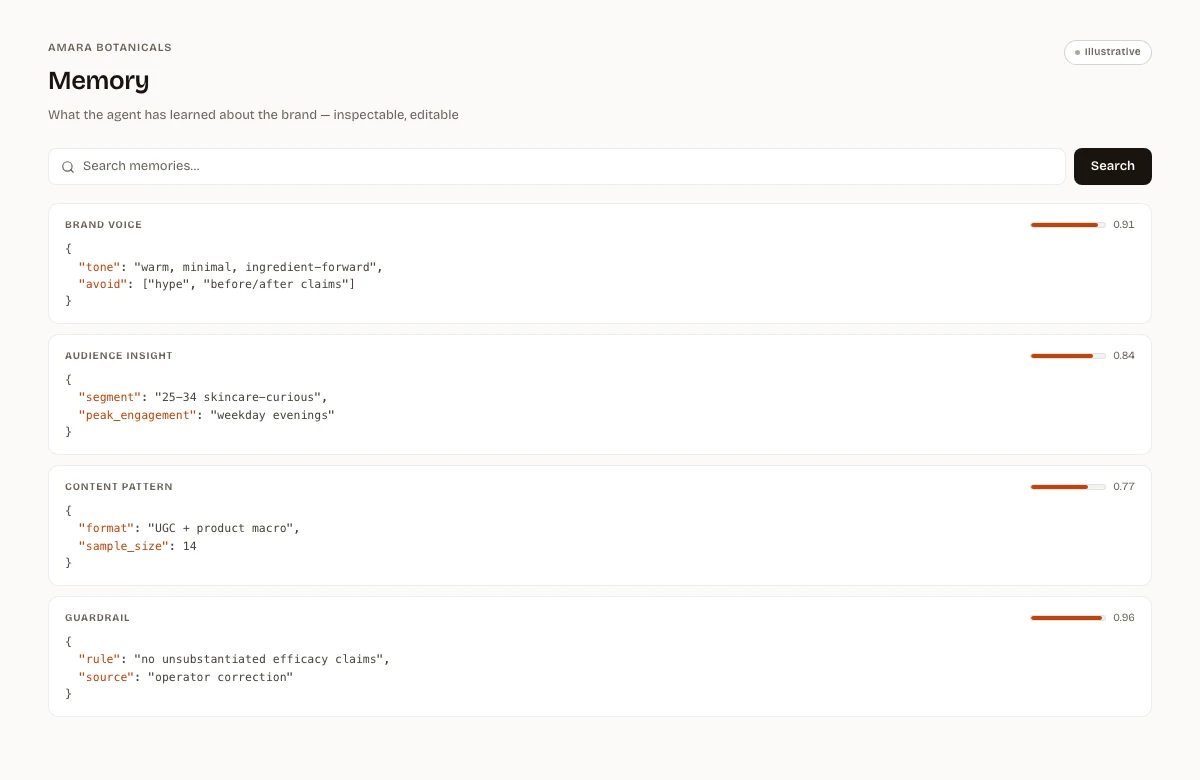 Memory explorer with learned brand insights